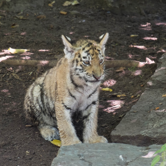 DSCF3534.jpg