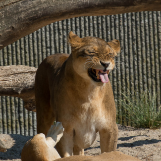 DSCF3328.jpg