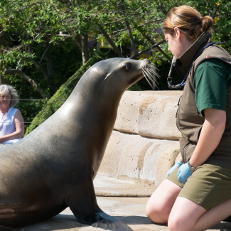 Zoo-with-XF200-55-47.jpg