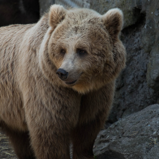 Zoo-with-XF200-55-2.jpg