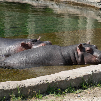 Zoo-with-XF200-55-24.jpg