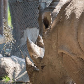 Zoo-with-XF200-55-26.jpg