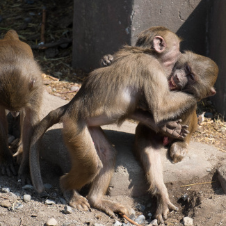 Zoo-with-XF200-55-58.jpg