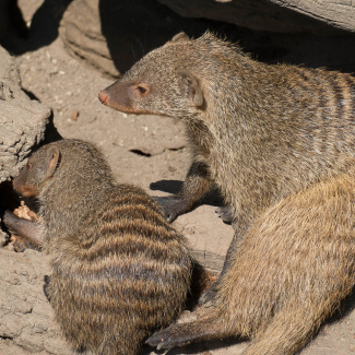 Zoo-with-XF200-55-28.jpg