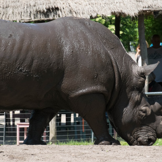Zoo-with-XF200-55-18.jpg