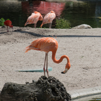 Zoo-with-XF200-55-13.jpg