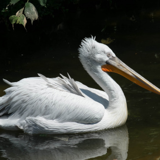 Zoo-with-XF200-55-6.jpg