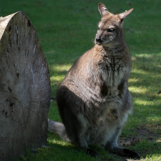 Zoo-with-XF200-55-22.jpg
