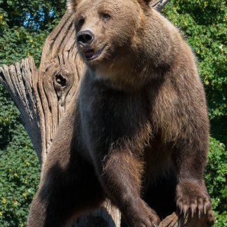DSCF3450.jpg