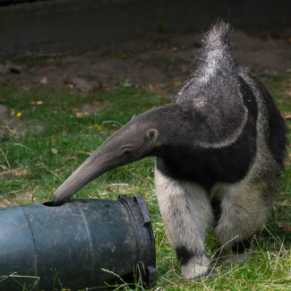 DSCF3273.jpg
