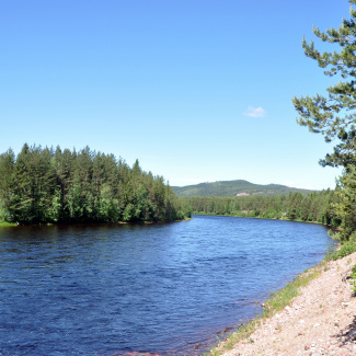 Österdalälven