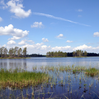 Søen Råstjå