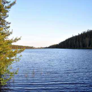 Stortjärn