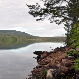 Österdalälven ved Åsens Kraftstation