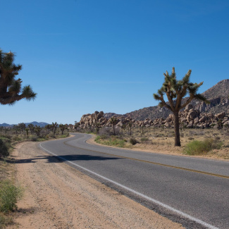 Joshua-Tree-10.jpg